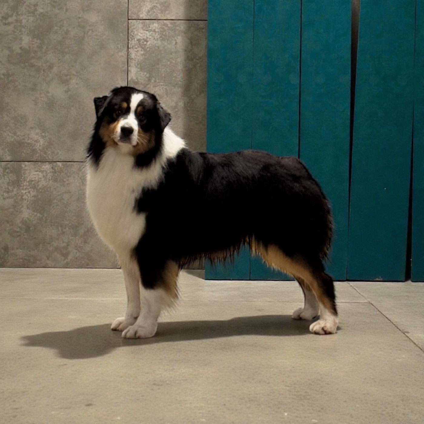 airplane's Very bored